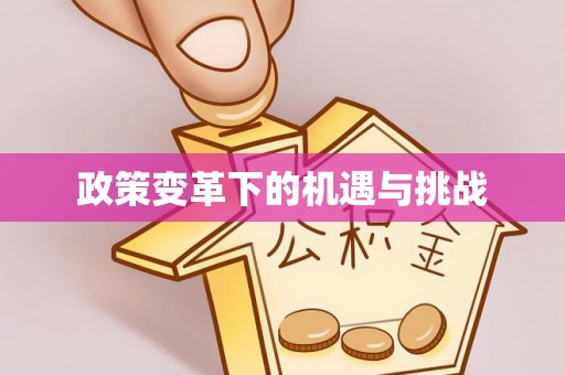 英德政策变革下的机遇与挑战