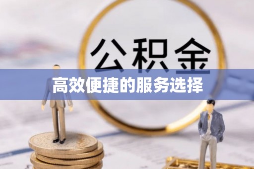 英德高效便捷的服务选择